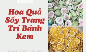 Hoa Quả Sấy Trang Trí Bánh Kem – Tự Nhiên, Thơm Ngon, Tăng Thẩm Mỹ Cho Chiếc Bánh