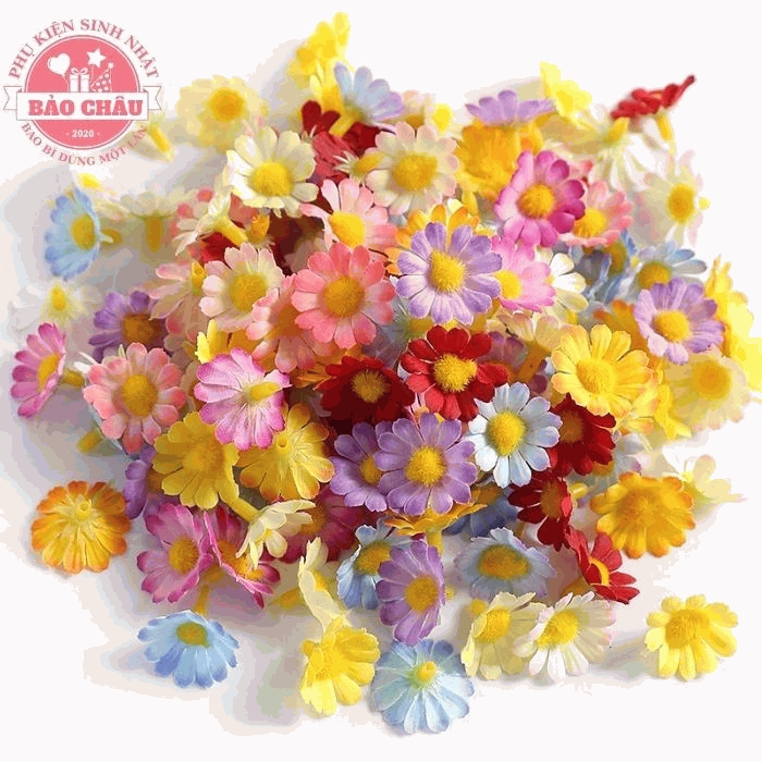Túi 100 đầu bông hoa cúc tana trang trí bánh kem sinh nhật, cúc hoạ mi mini