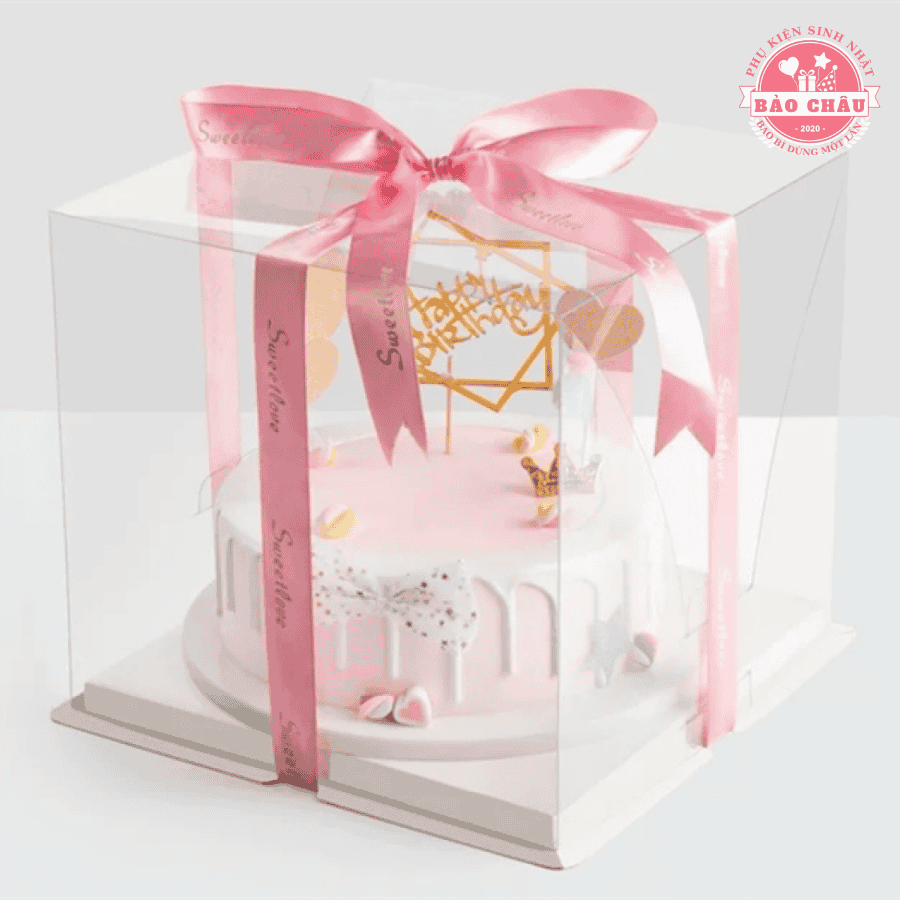 Top 15+ mẫu hộp mica đựng bánh sinh nhật sang trọng, bảo quản tốt